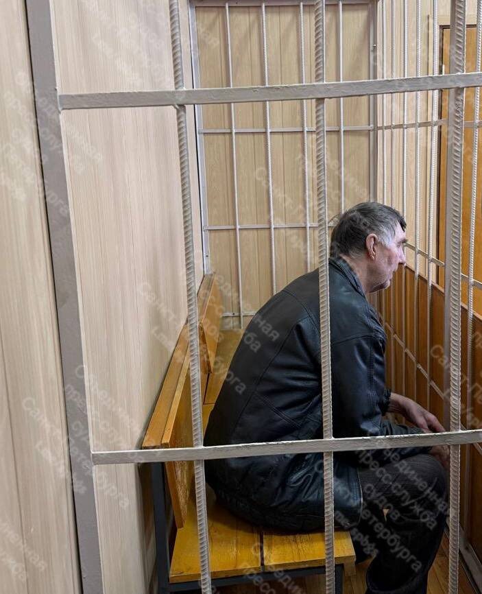    Арестован пенсионер, обвиняемый в убийстве и расчленении уроженки Карелии Объединенная пресс-служба судов Петербурга / тг
