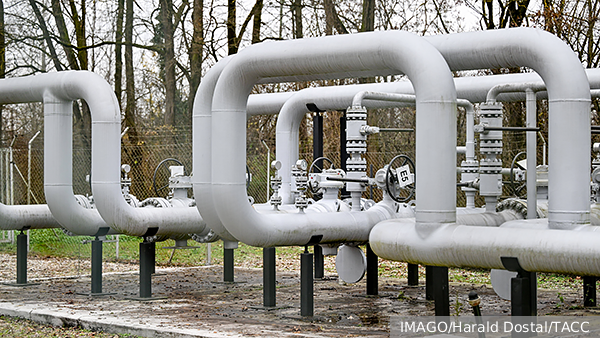     Фото: IMAGO/Harald Dostal/ТАСС   
 Текст: Дмитрий Зубарев