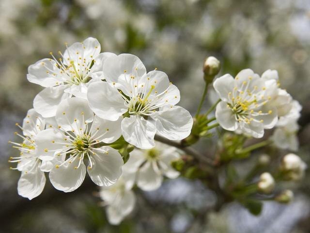 Фото Вадима Заблоцкого