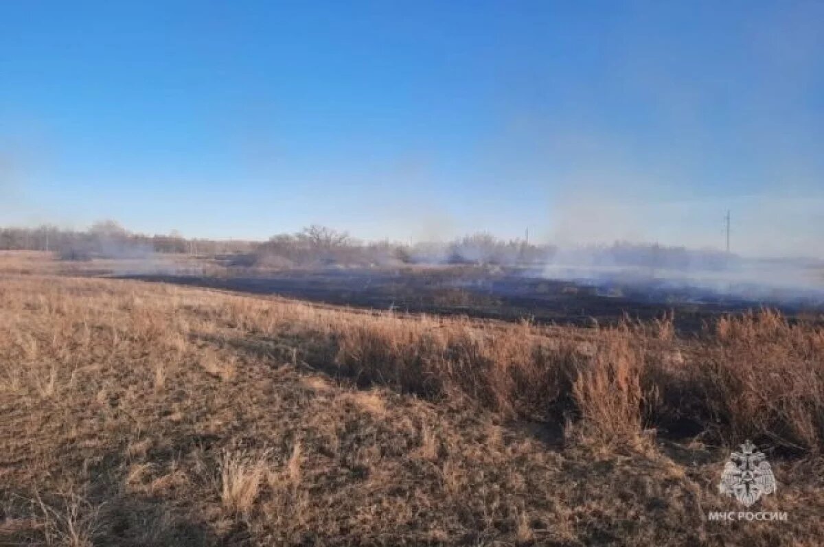    С начала года в Башкирии произошло 25 природных пожаров