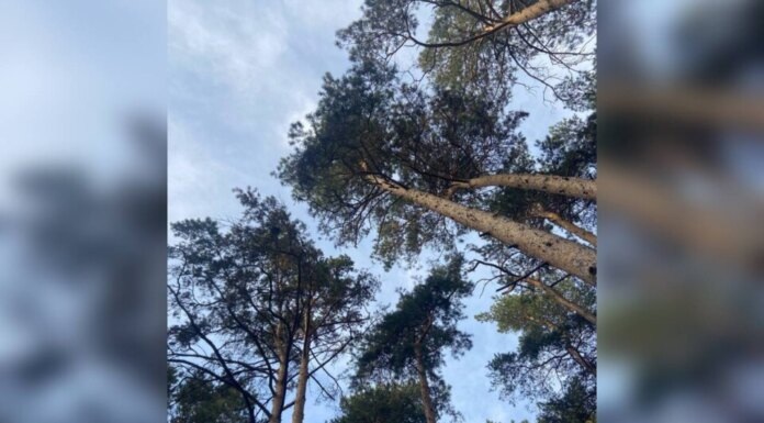    Фото Дарьи Шевцовой