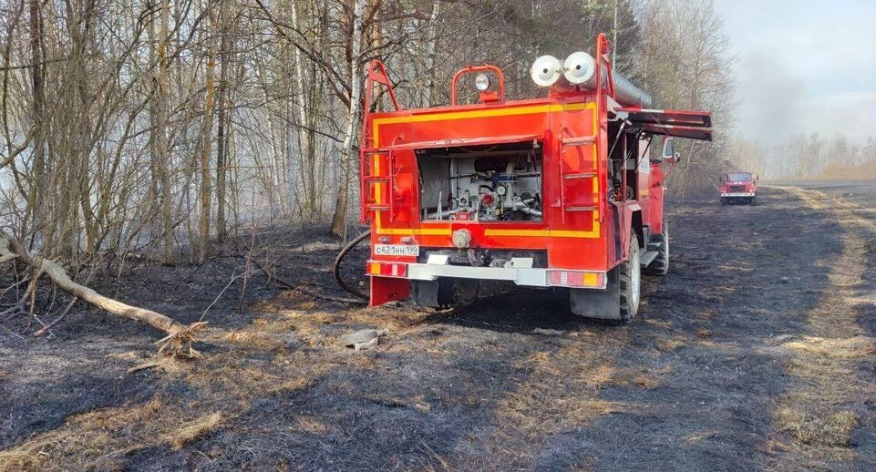    Комитет лесного хозяйства МО
