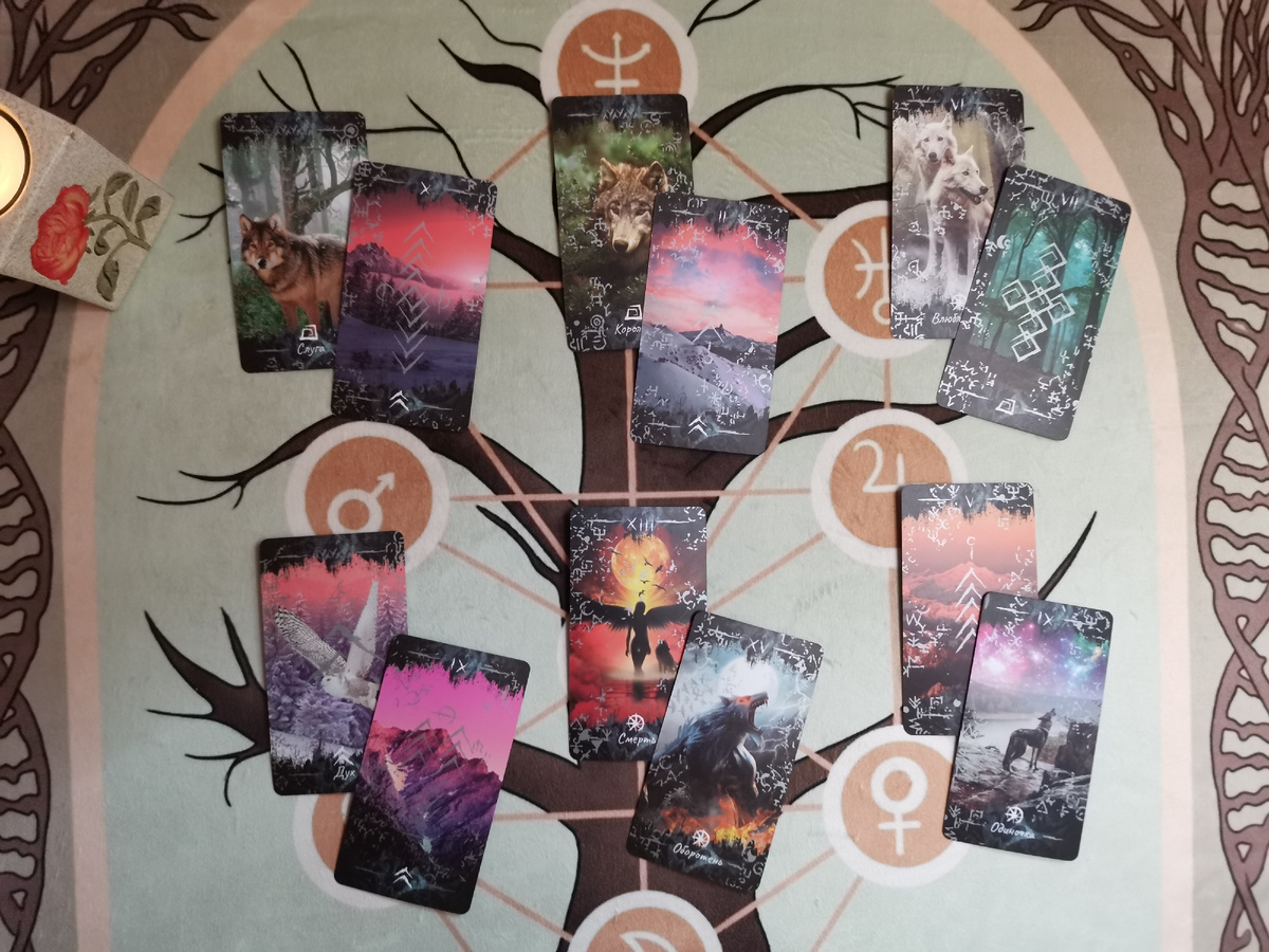 Расклад недели на Таро Wolf and Moon