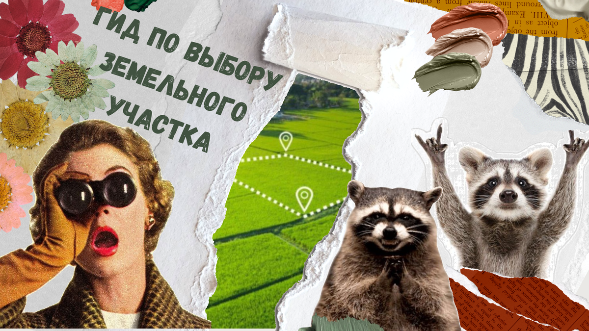 ИЖС? ЛПХ? Нет, у меня РЕА — «Режим Енотовой Анархии»