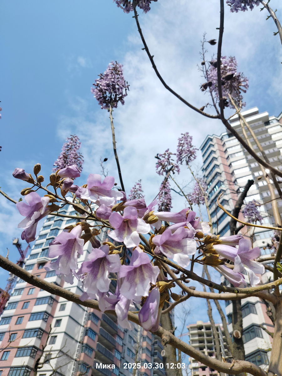 Краснодар - столица Кубани