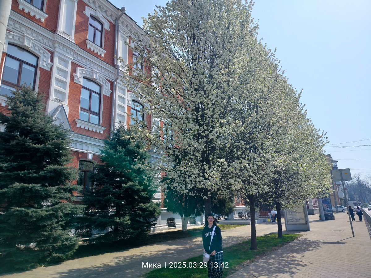 Аллеи цветущих деревьев