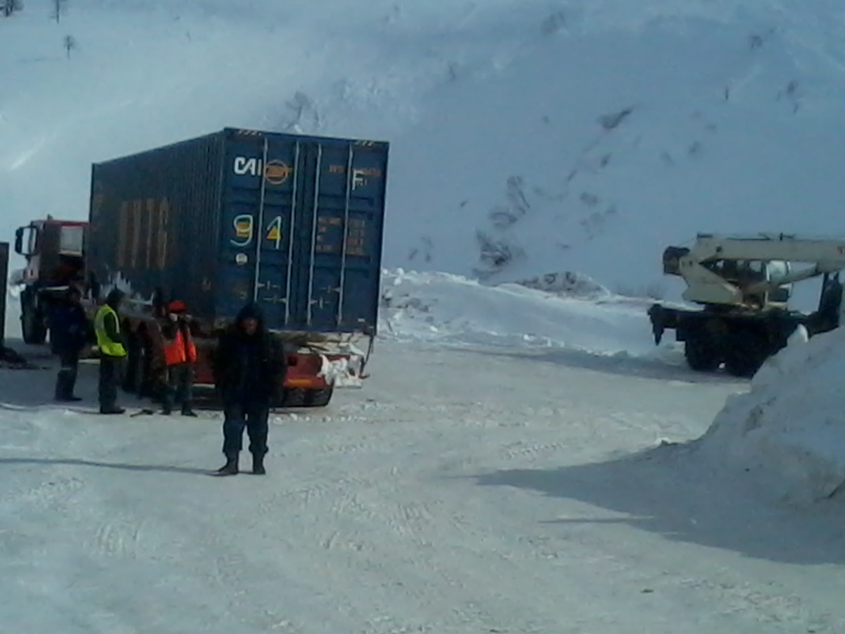  «Иваныч: колымский волк, разбирающийся в технике»