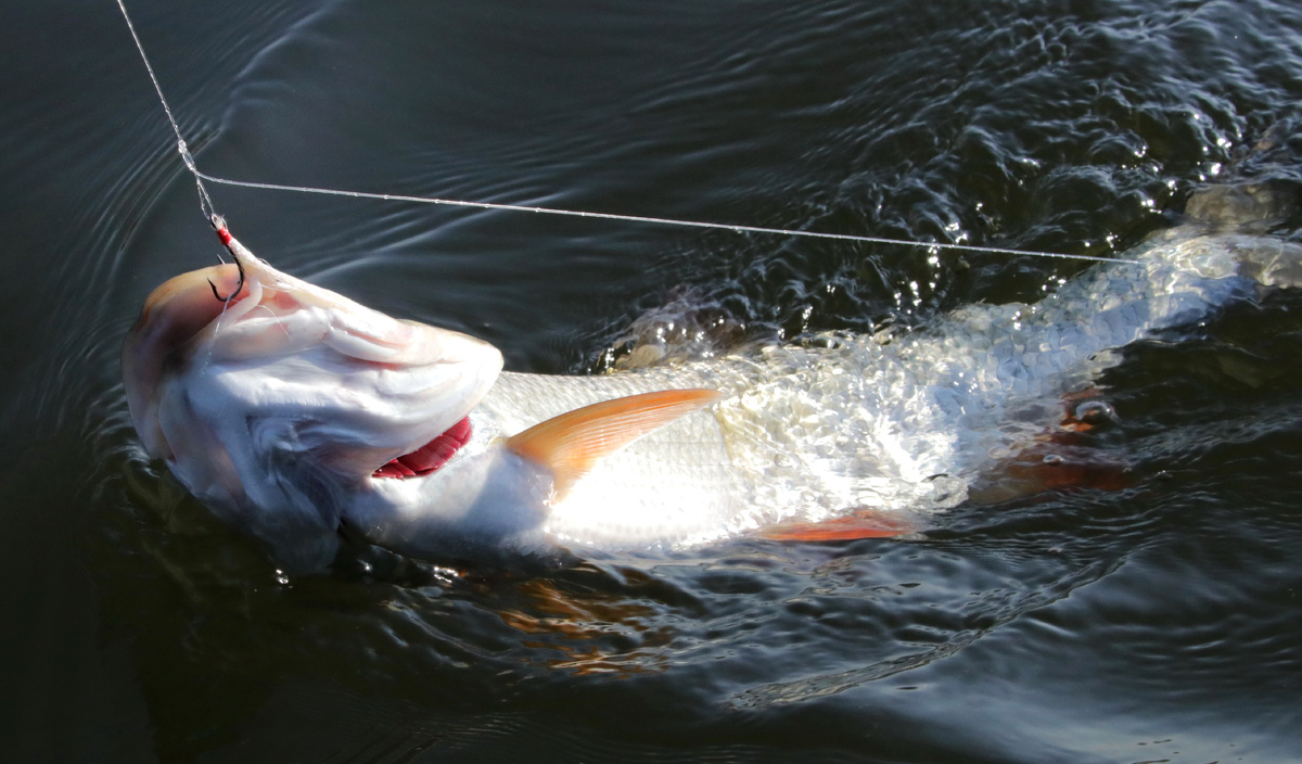 фото: Евгений Кузнецов