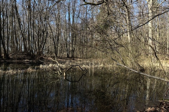   Фото: Калининград.Ru