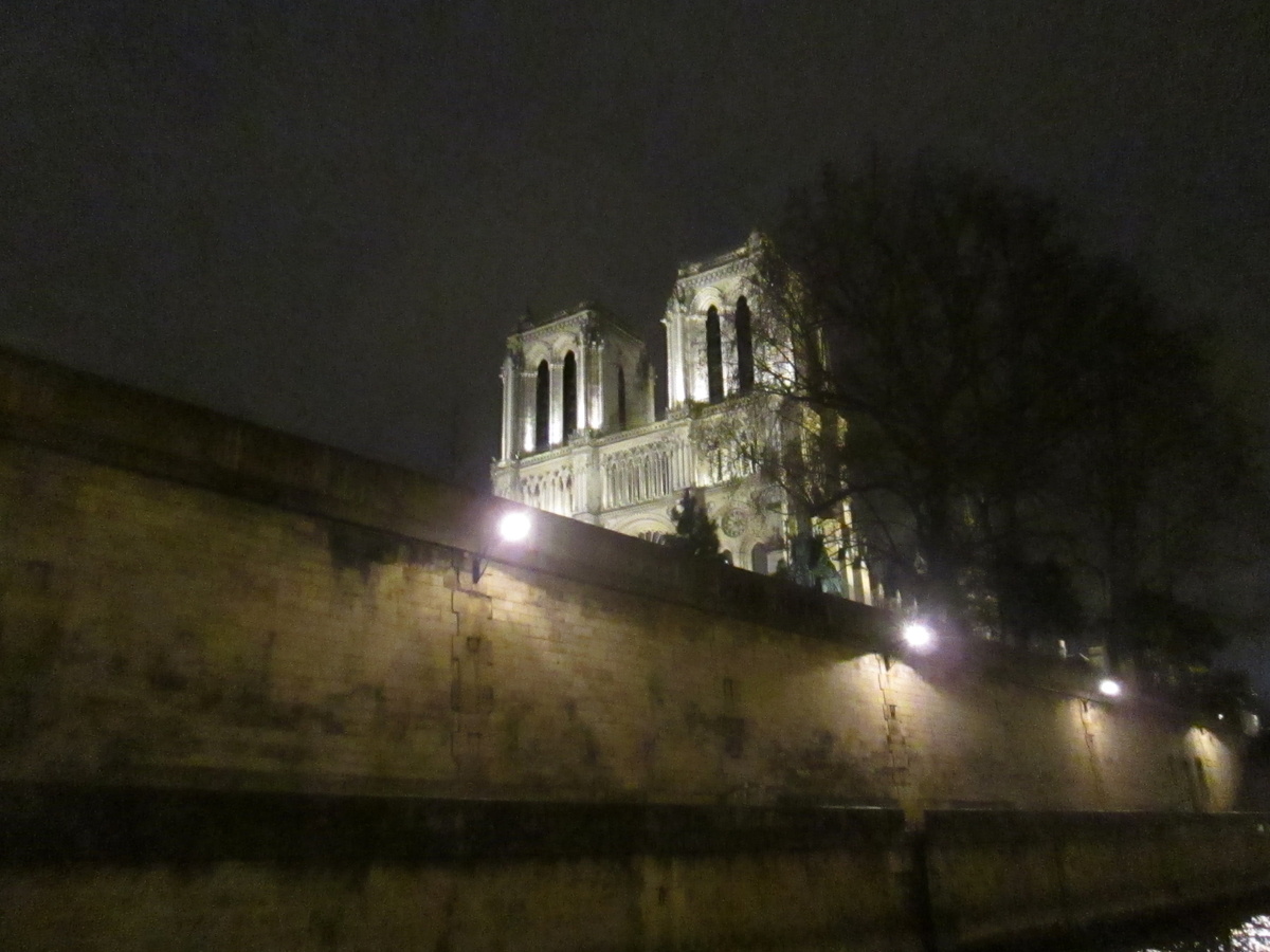 Нотр Дам де Пари. Вид с кораблика.