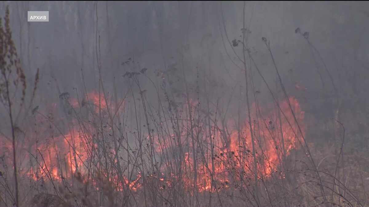    В Башкортостане за сутки произошло семь природных пожаров