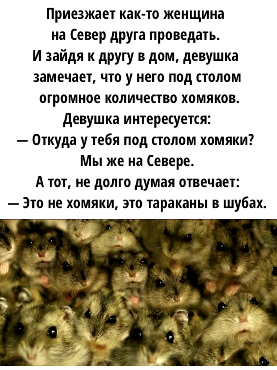 Картинку сделала сама