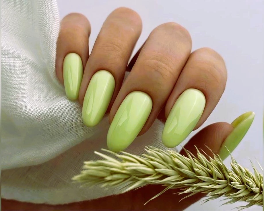 *Фото из открытых источников