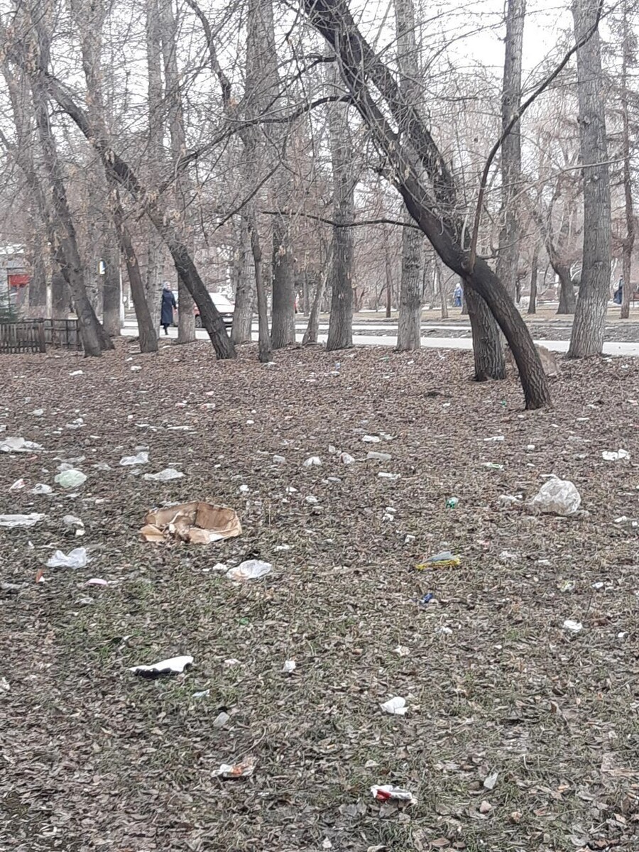     Источник: t.me/krsk_loginov