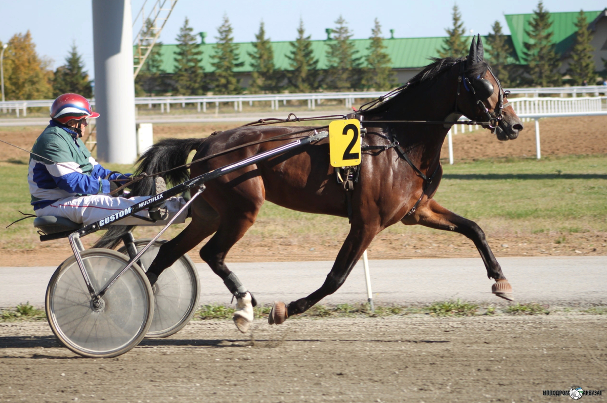 испытания на ипподроме Акбузат