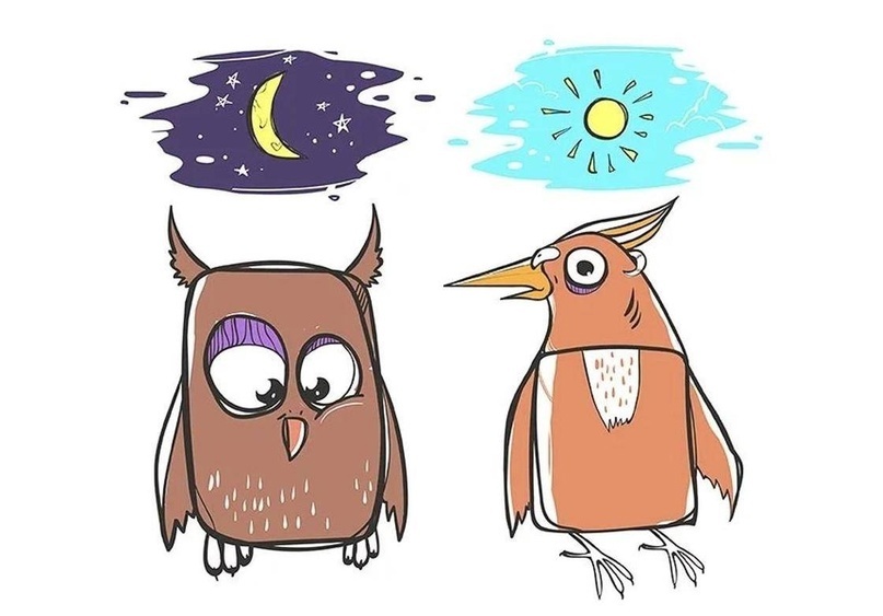 Сова или жаворонок? Вечная война