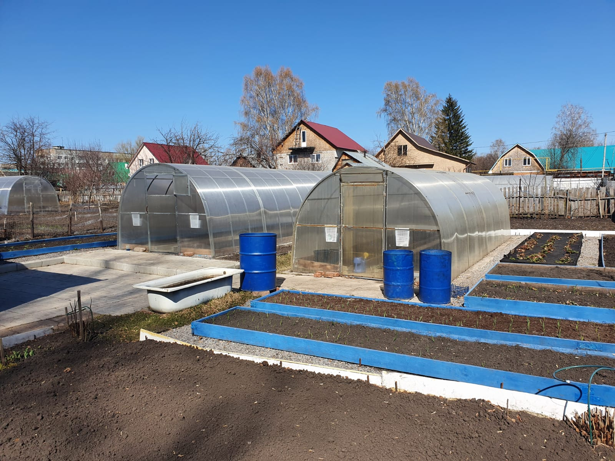 Готовить участок надо уже сейчас!