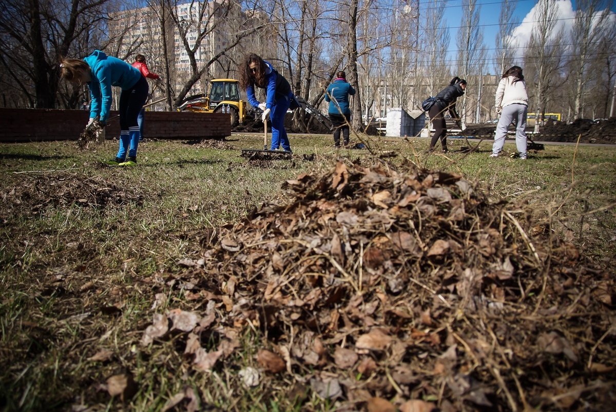    Фото из архива Progorod