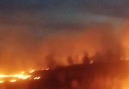    Фото: скриншот видео из тг-канала ЧП Самара