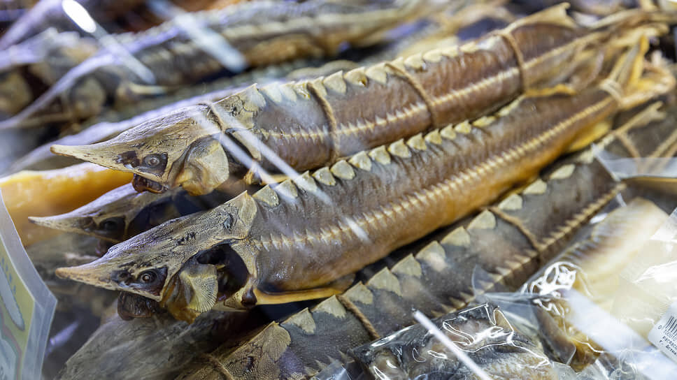 Фото: Алексей Смышляев / Коммерсантъ