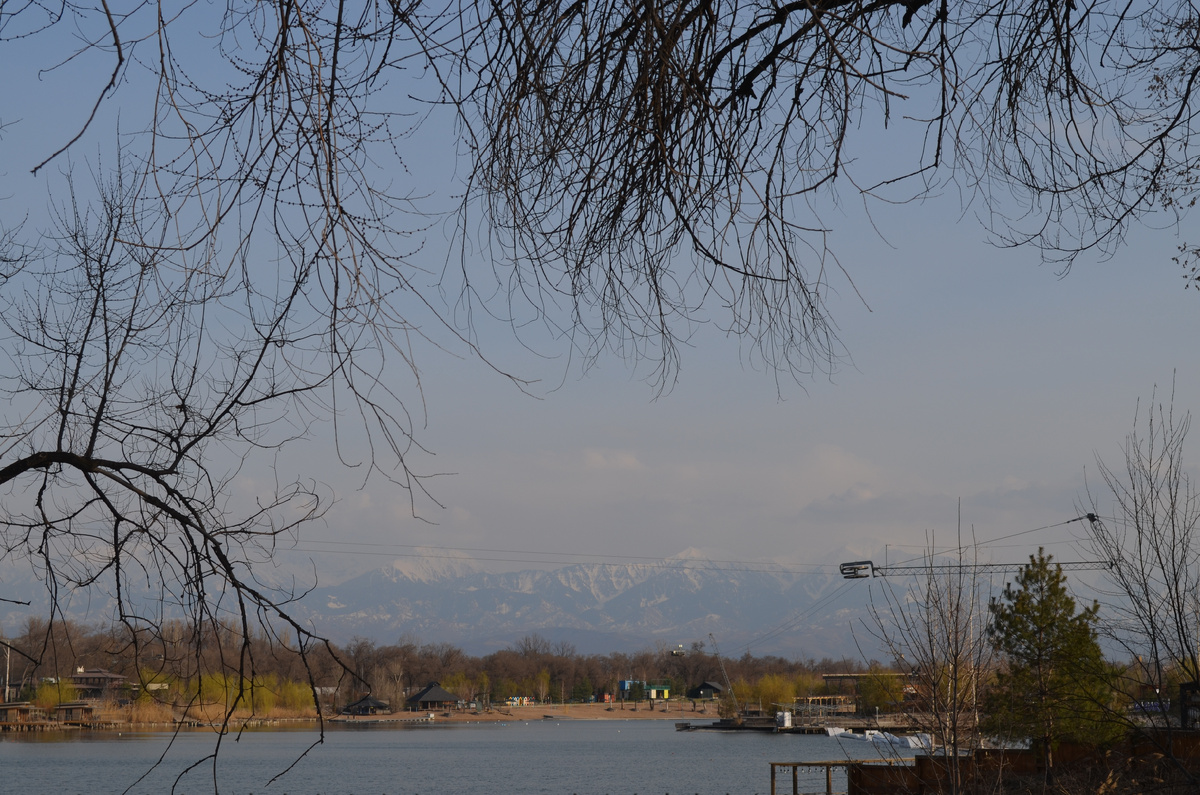 На этом фото — Певромайские пруды близ Алма-Аты. Говорят, тут летом цветут лотосы, и они тут ещё и привозные. И это в числе фишек этого места!…