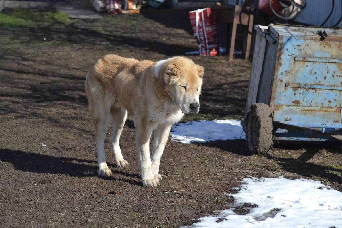 Последнее фото 