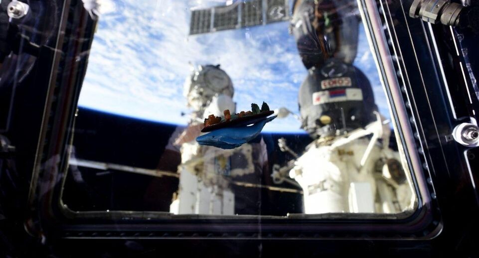    Космонавт Роскосмоса Иван Вагнер / Telegram