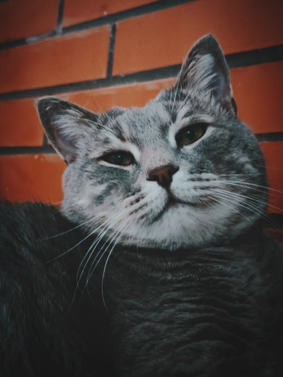    Из архива редакции