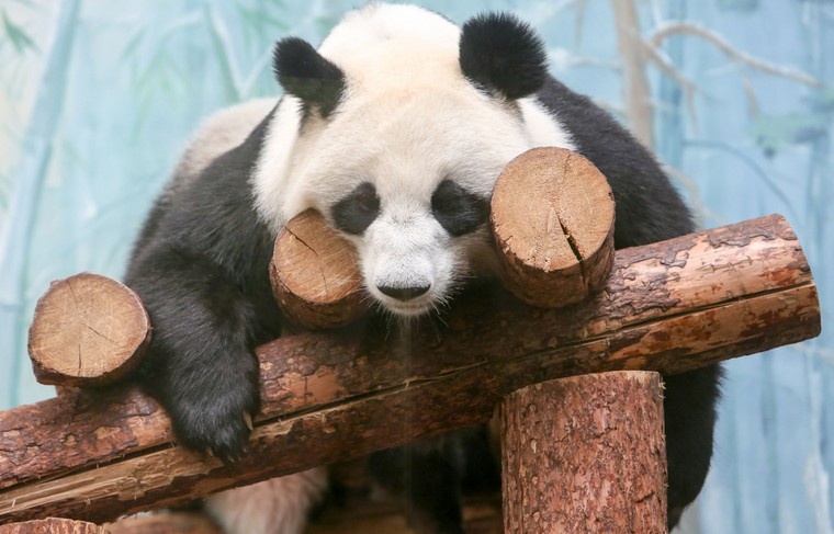    Наталья Шатохина/NEWS.ru