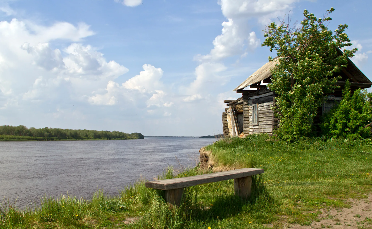 Яндекс картинки