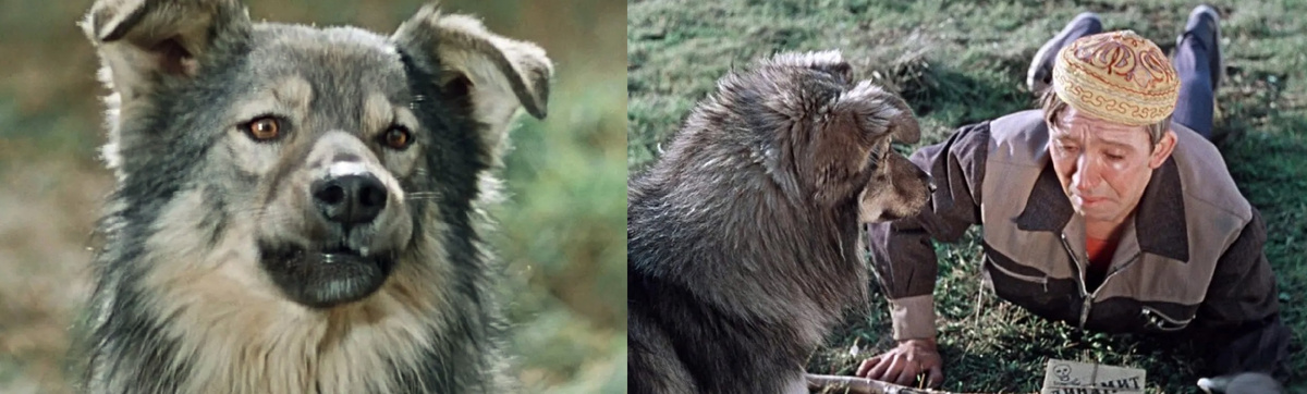 
Кадры из фильма «Пес Барбос и необычайный кросс»