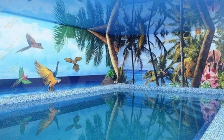 В каждой сауне имеется теплый бассейн, комнаты отдыха, игровые зоны. Фото: Авито