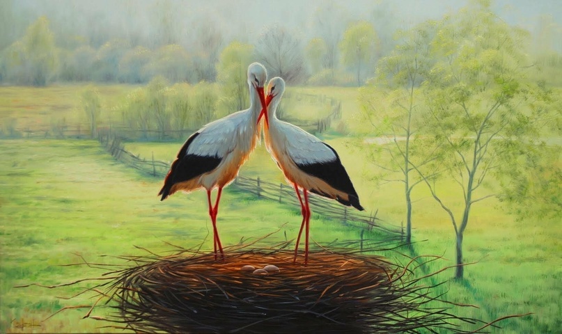 Аисты Лелеки.