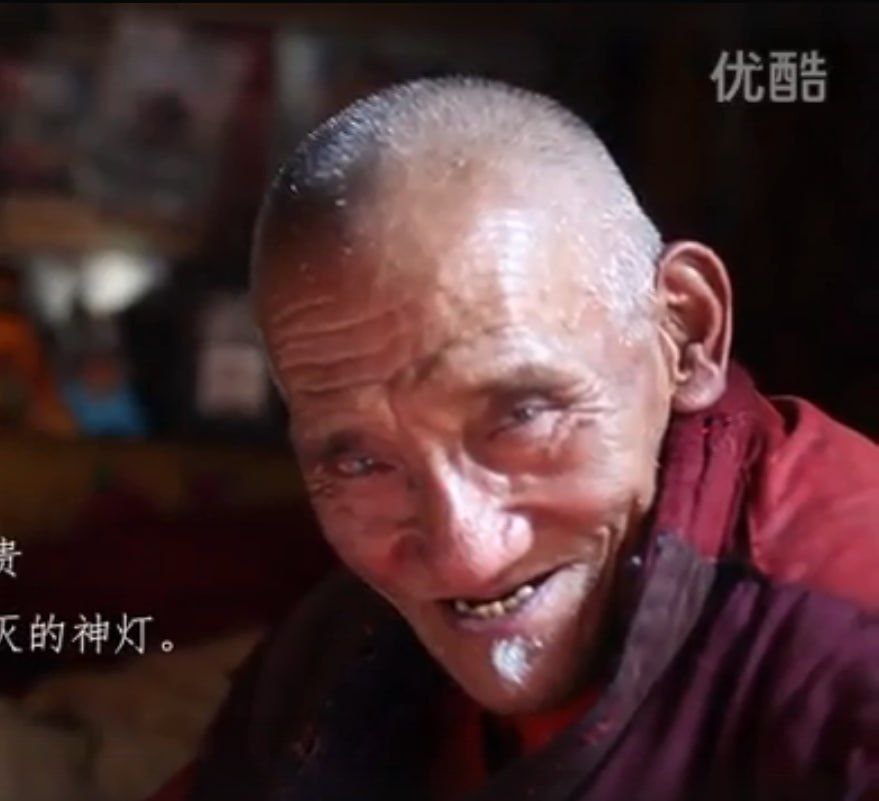 Лама при жизни