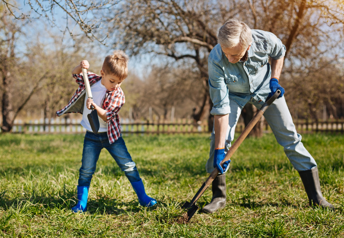 Подготовка и проверка почвы весной