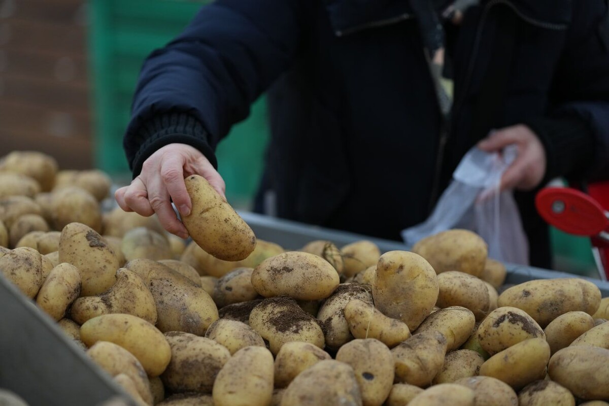     / Источник: © ИЗВЕСТИЯ/Дмитрий Коротаев