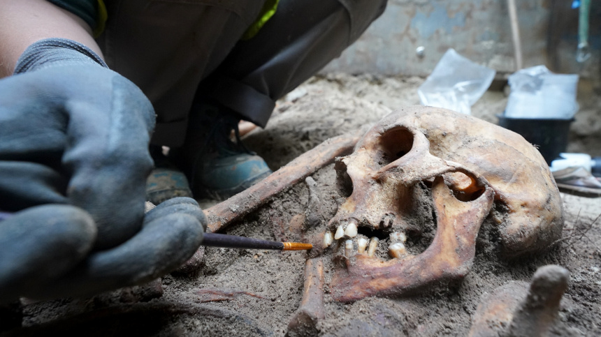    Фото: www.globallookpress.com/ Marcus Brandt