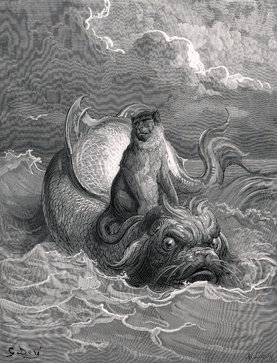 Обезьяна и дельфин.