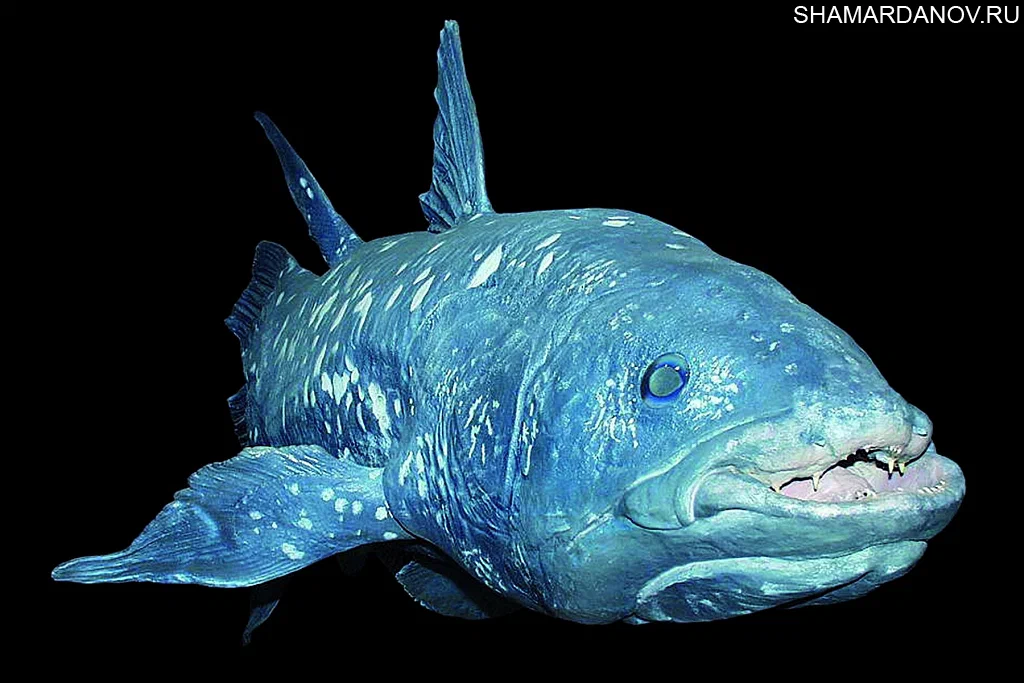 Он рад, что о нём вспомнили.