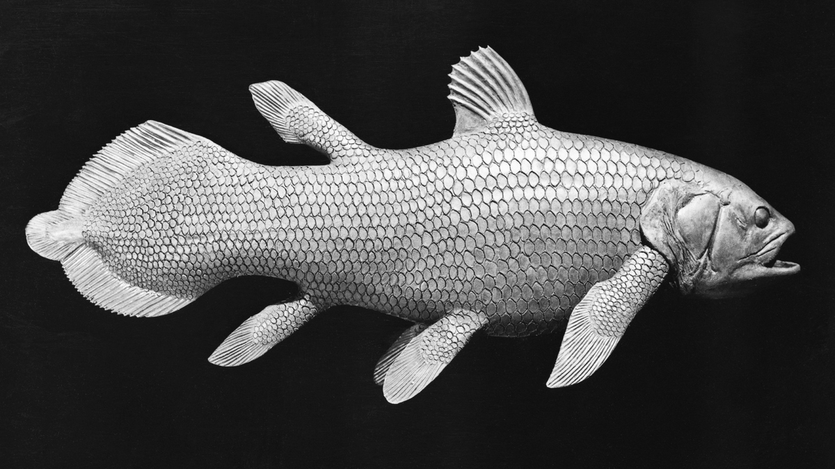 То самое фото дедушки из 50-ых