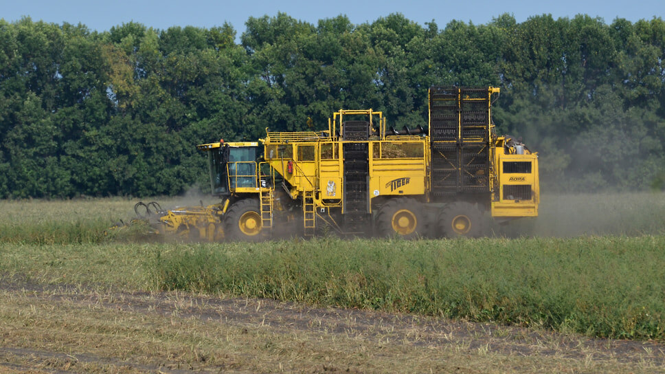 Фото: Олег Харсеев / Коммерсантъ