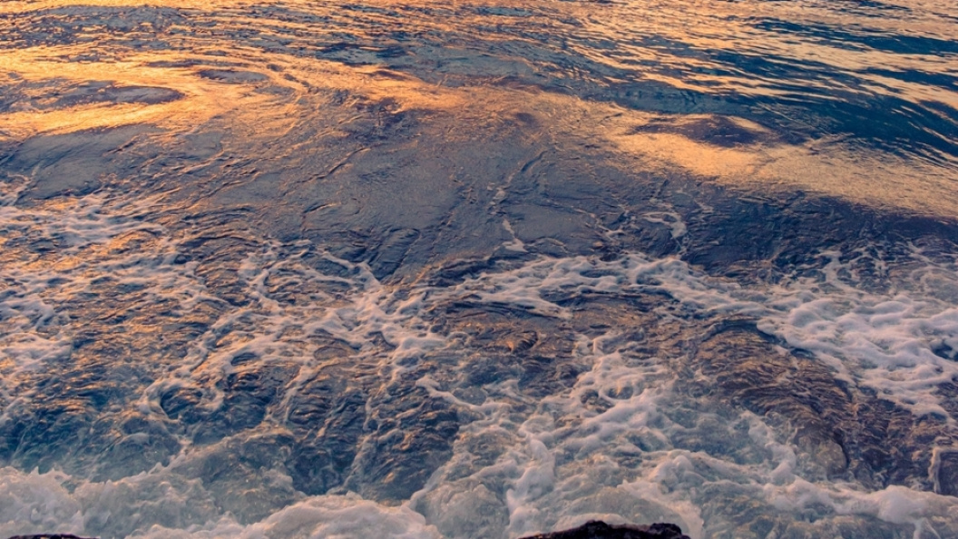    Фото: Царьград