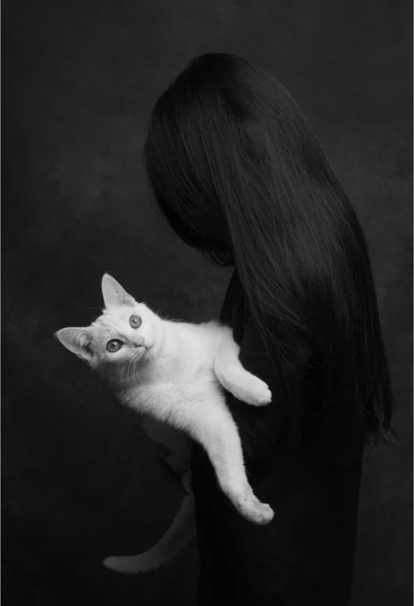 Картинка в свободном доступе в интернете