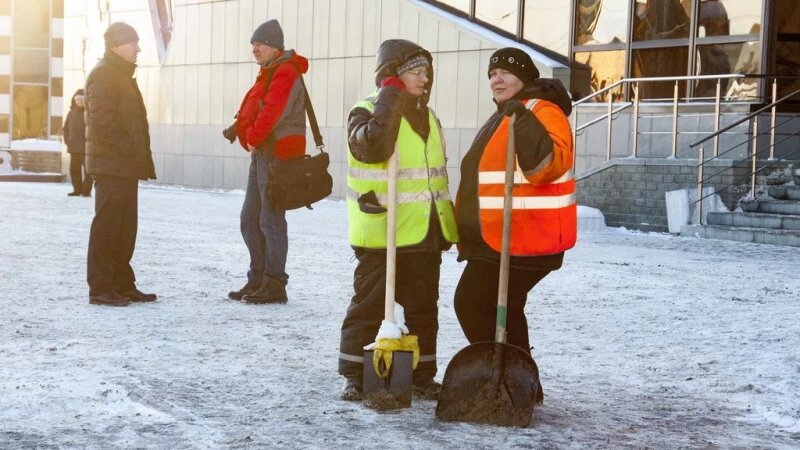     Дворники. altapress.ru