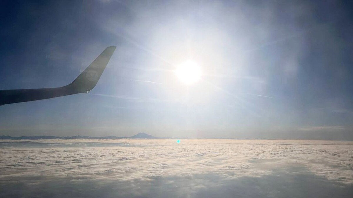    Фото: телеканал «Краснодар»