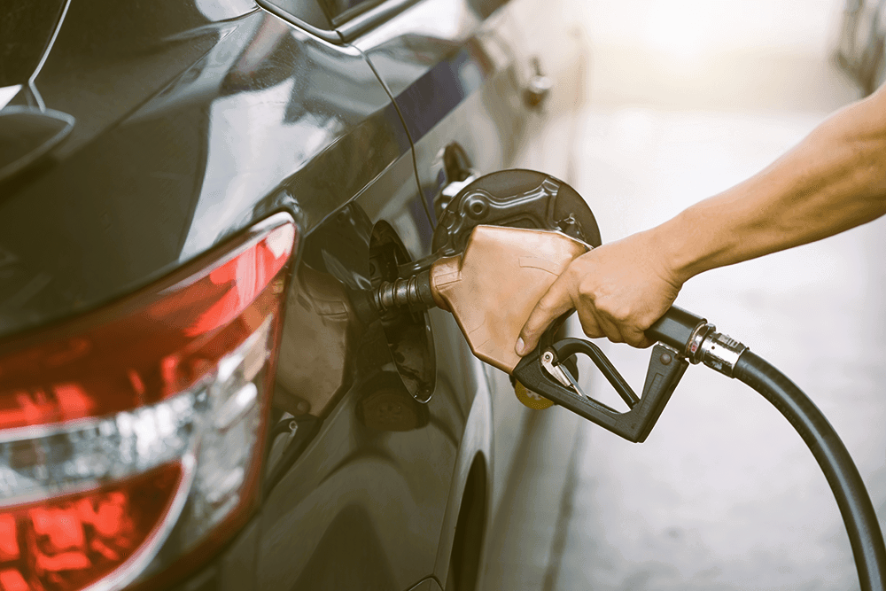 Источник Яндекс Картинки