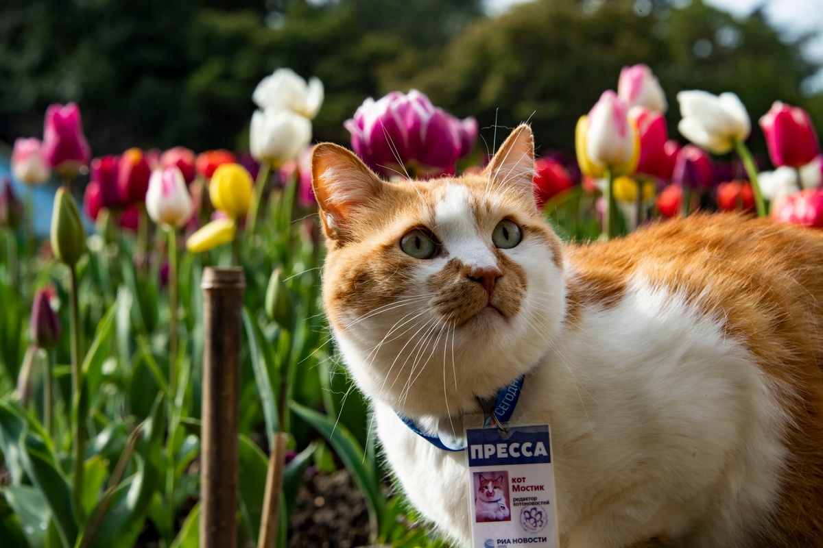 Новый месяц - новые обои на телефон.