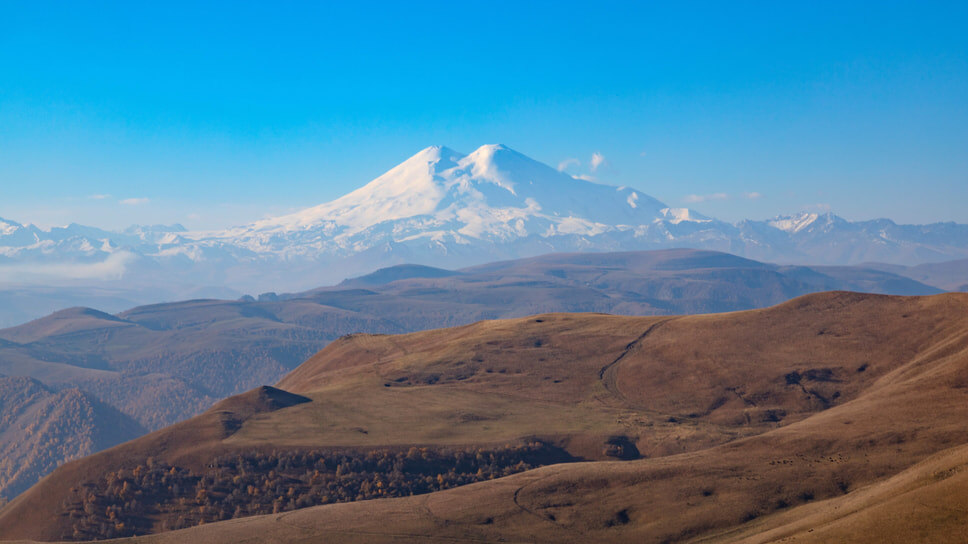 Фото: Александра Ларинцева / Коммерсантъ