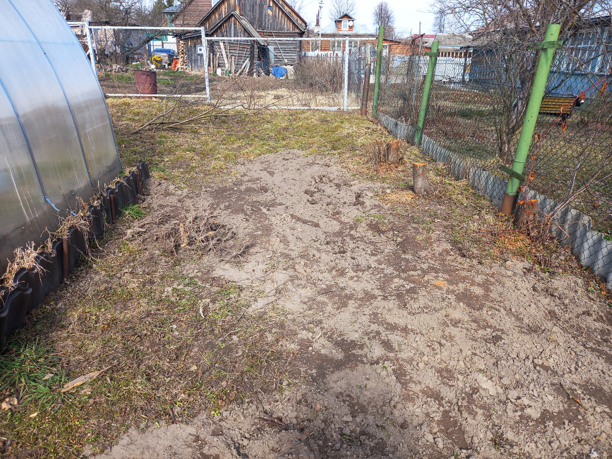 Вот он, этот участочек. И это тут еще не все выкорчевано!