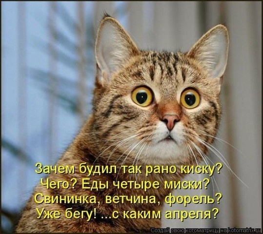 Фото из свободного доступа в интернете.